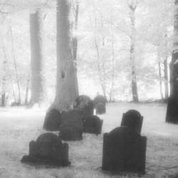 Vinculum Terminatii : Forever. The End. (Single)